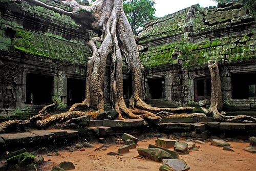 Angkor Wat Archeological Site
